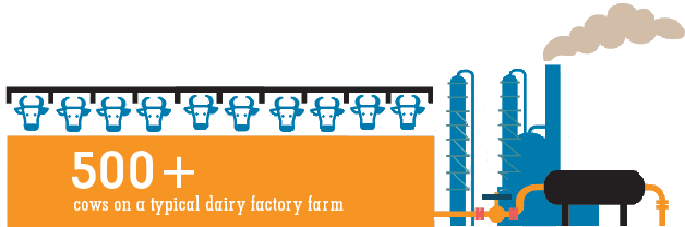 factory-farm2.gif
