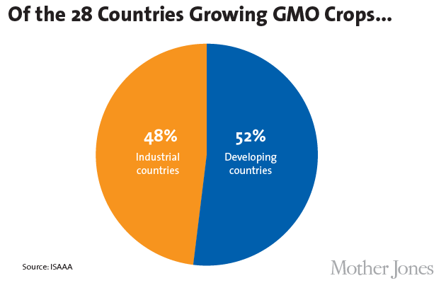 Gmo Charts