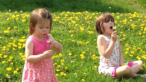 girls in field of dandelions