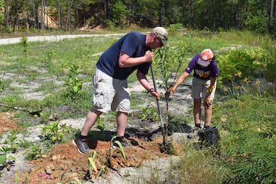 man and woman veterans planting tree