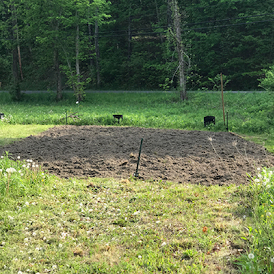 bare patch of soil in yard, site of future garden