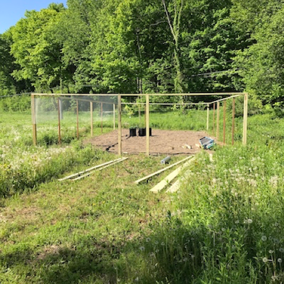 start of garden building, with fence frame created