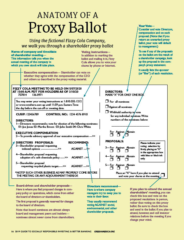 What Is a Proxy Vote, and How Does It Work? With Examples