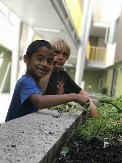 boys playing in the garden