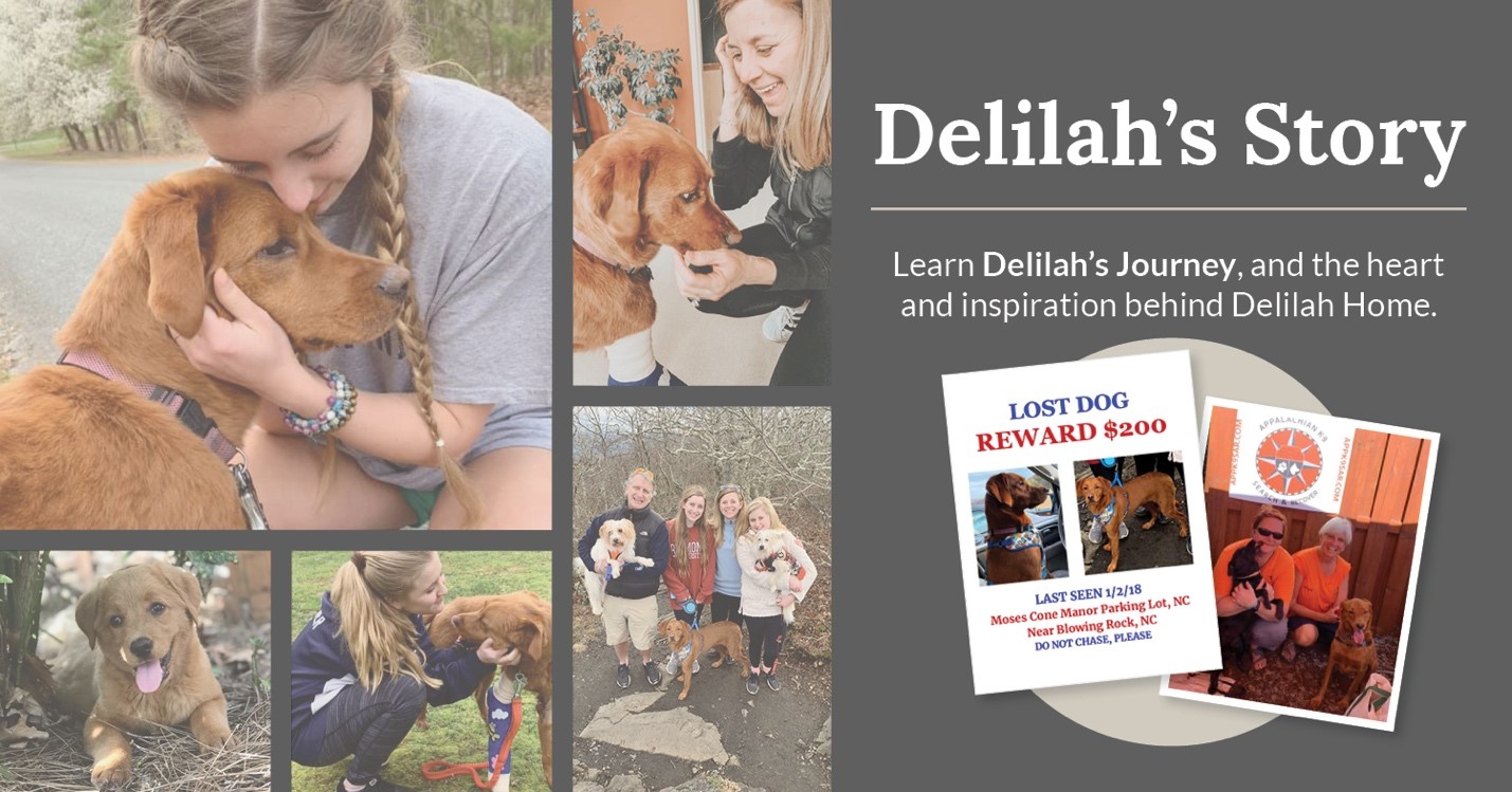 girl holding a rust colored puppy. Words say "Delilah's Story"