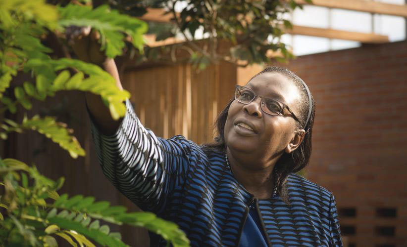 dorceta taylor, black woman standing with leaves 