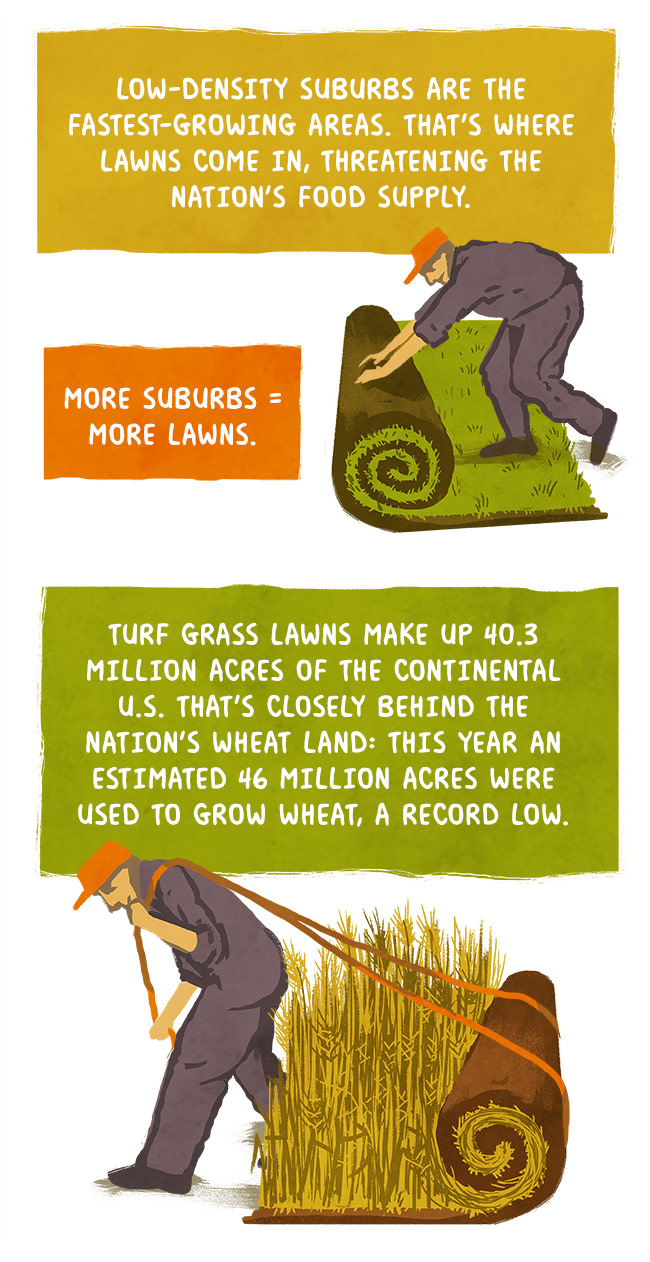 More suburbs = more lawns