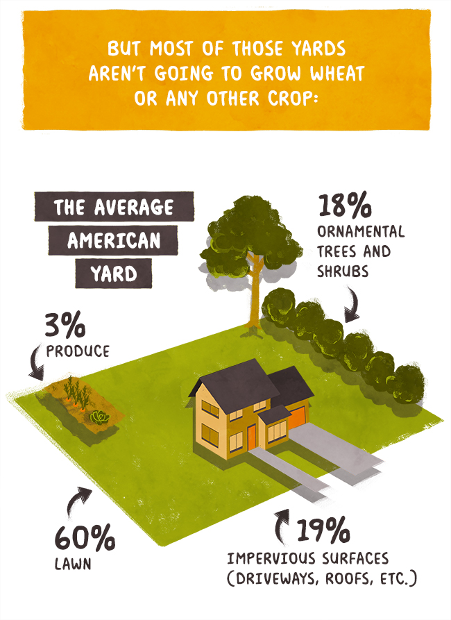 Only 4% of the average American yard goes to growing produce.
