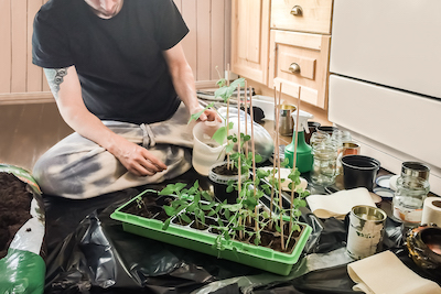 man sitting on floor with repurposed garden supplies for planting seeds and climate victory garden