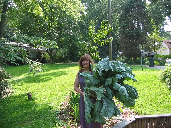 Debby Ward stands by her largest kale plant