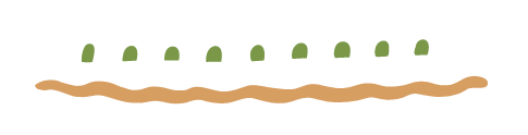 illustration of seedlings in a row, growing climate solutions