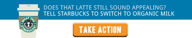 latte-banner-with-button.jpg