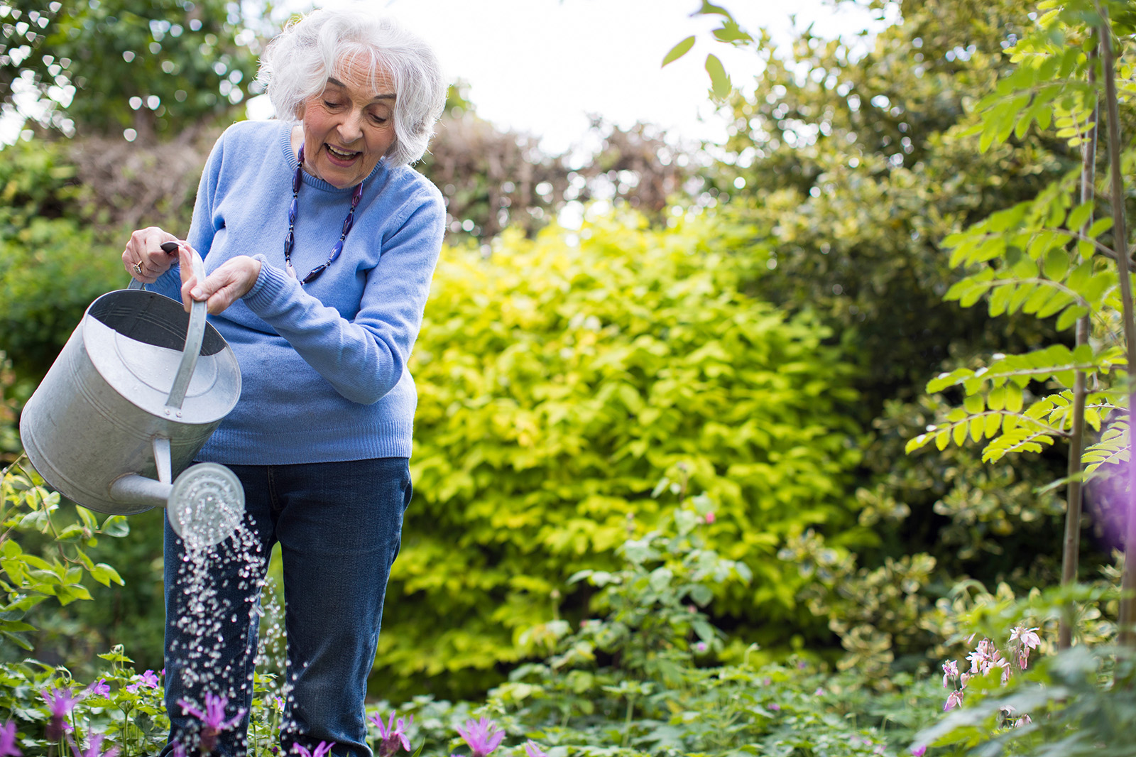 How To Start A Climate Victory Garden Green America