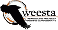First Nations Oweesta Corp. (Oweesta) logo