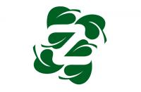 Natural Zing logo