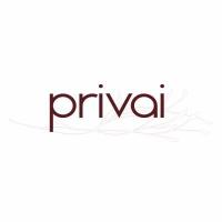 PRIVAI logo