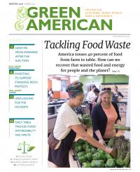 Green American cover with women shopping