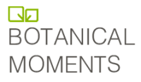 Botanical Moments logo