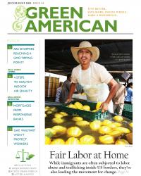 cover of fair labor at home GAM