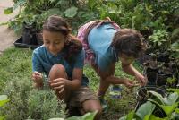 Schauder children of Permaculture Gardens
