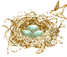 organic nest footer logo
