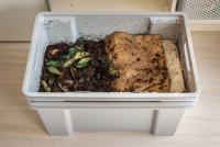 indoor composting bin showing food scraps and soil