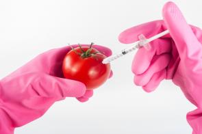 GMOs:  We Need to Know What's In Our Food