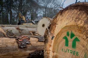Salvaged logs sent to Eutree lumberyard from local tree service