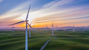 windfarm at golden hour; wind is an important factor for reducing carbon emissions