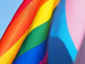 Rainbow Flag by Cecilie Johnsen