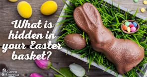 chocolate bunny with text "what is hidden in your Easter basket?"