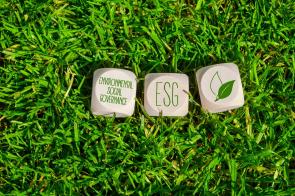 Environmental Social Governance - blocks in grass