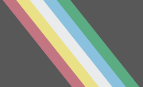 Disability Pride flag, which is dark gray with stripes in red, yellow, white, blue, and green.
