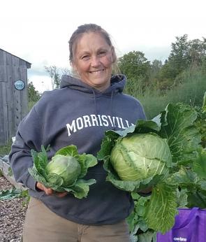 Cabbages grown with and without Devine Gardens vermicompost
