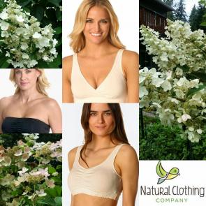 Organic cotton underwear for women and men