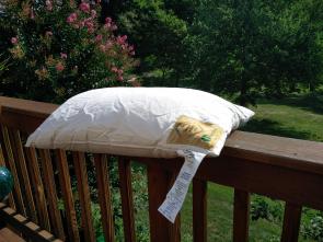 Organic Kapok pillows with cotton cover