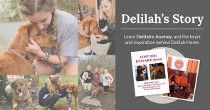 Delilah's  Story