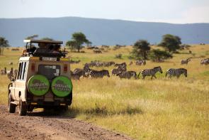 The Tanzania Great Migration Safari is a bucket list trip for many!