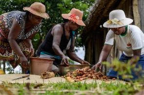 In Madagascar we recently supported community led agricultural training programs for turmeric farmers. 