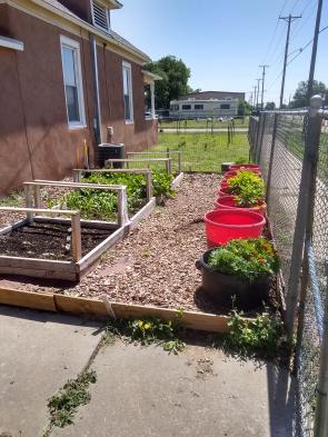 Gail S Garden Green America