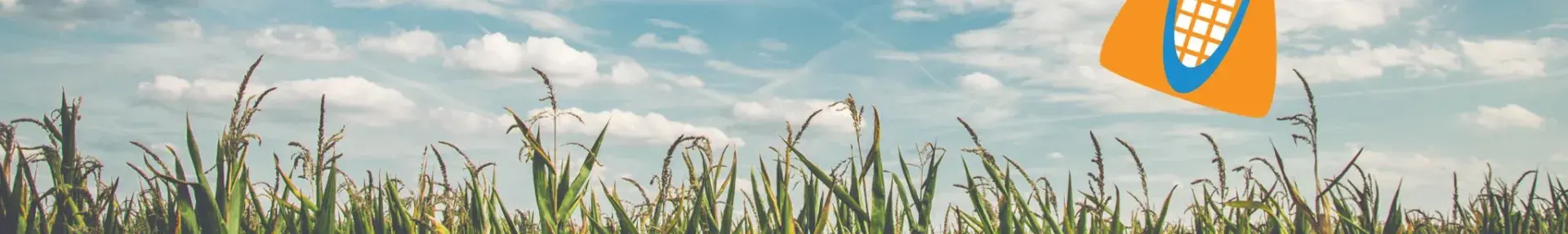 Image: green field, blue sky, cartoon lab vial in the sky. Topic: Genetic Engineering