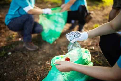 How to Help the Environment: 31 Simple Ways You Can Make a Difference