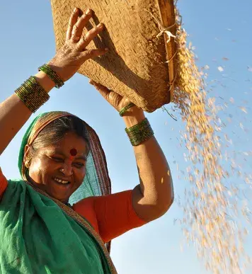 Image: woman pouring out a basket of grain. Topic: Green America's Work on Labor Rights