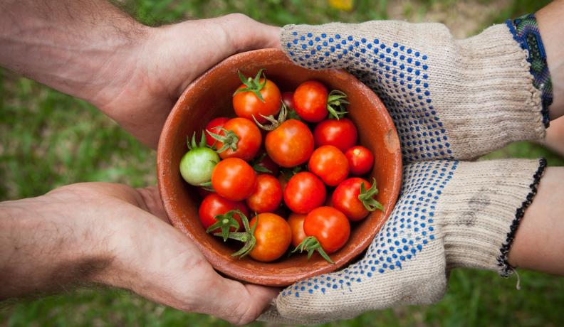 Image: two pairs of hands holding a pot of tomatoes. Topic: 9 Ways to Support Sustainable Food