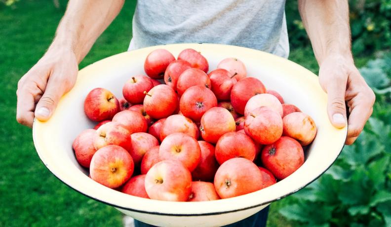 Image: person holding large bowl of apples. Title: 10 Ways to Join the Sharing Economy