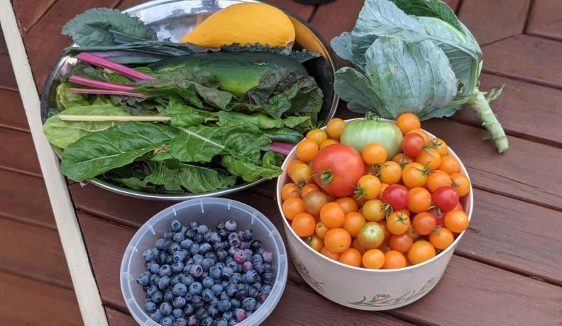 Lettuce, blueberries, and tomatoes in different bowls on a picnic table.
