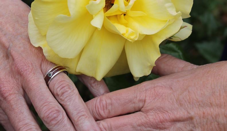 elderly hands wearing natural wood wedding rings and holding a yellow flower