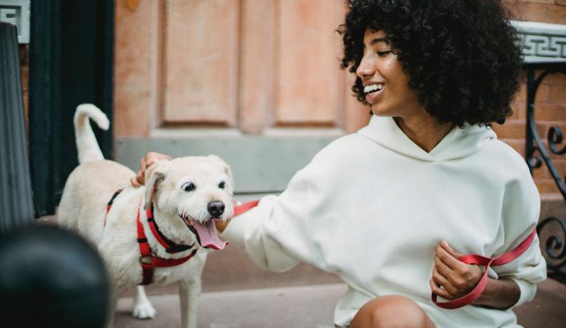 young Black woman taking a cute white terrier dog on a walk