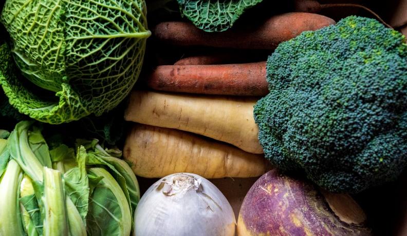 a close up shot of several different vegetables, like a white onion, three carrots, a head of broccoli, and kale.