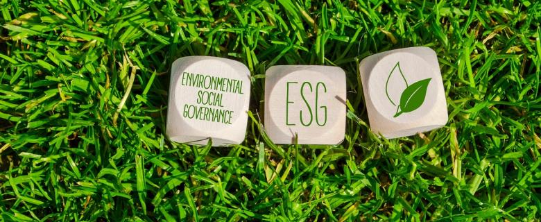 Environmental Social Governance - blocks in grass